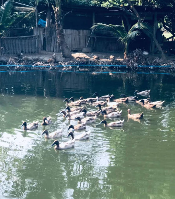 Chiang Mai Unseen