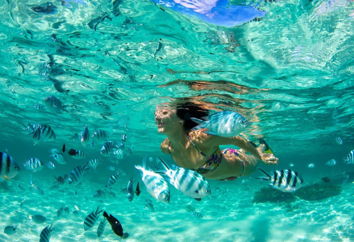 Phuket Coral Island Tropical Snorkeling Adventure          
