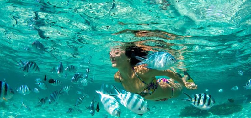 Phuket Coral Island Tropical Snorkeling Adventure          