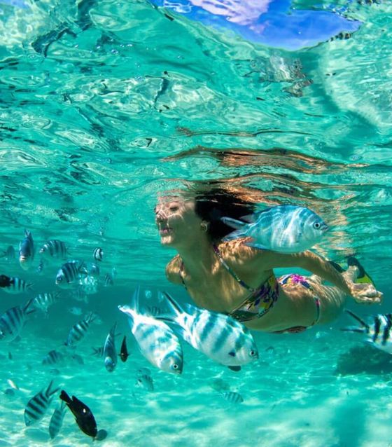 Phuket Coral Island Tropical Snorkeling Adventure          