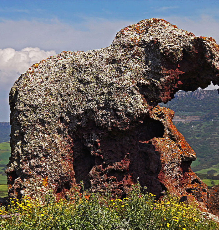 Elephant Rock