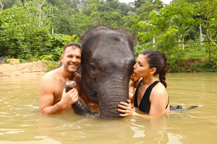 Phuket Ethical Elephant Experience & Intara Farm Tour       