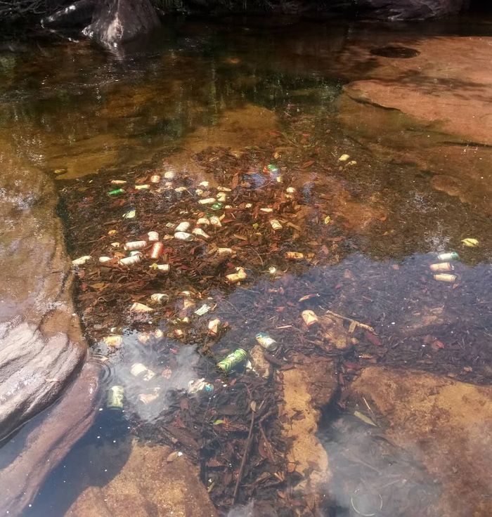 Fairy Spring