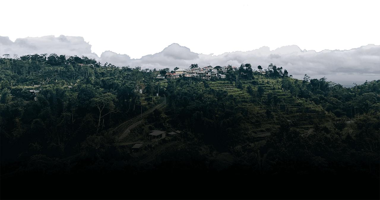 new-bg-top-v2