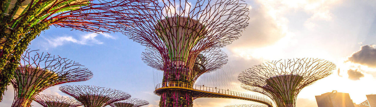 Gardens by the Bay