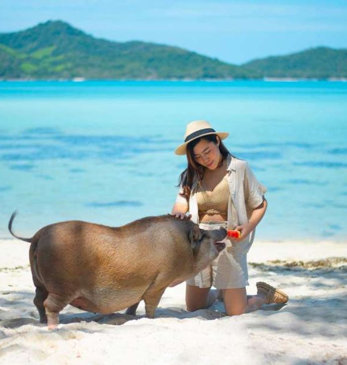 Koh Mat Sum