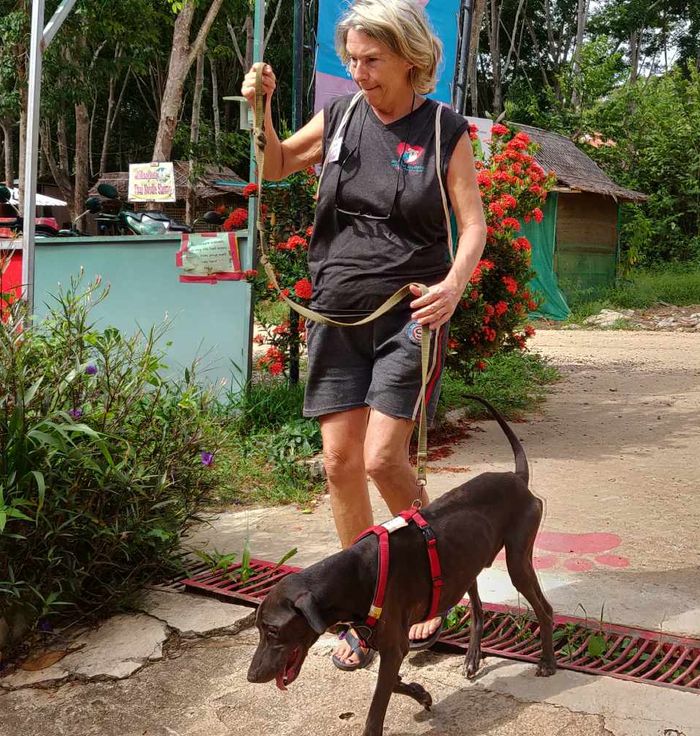 Lanta Animal Welfare