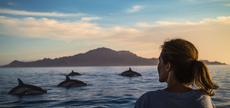 Lovina Dolphin Watching & Snorkeling Adventure  