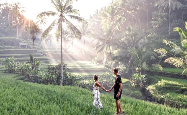 Magical Ubud Rice Terrace Tour          