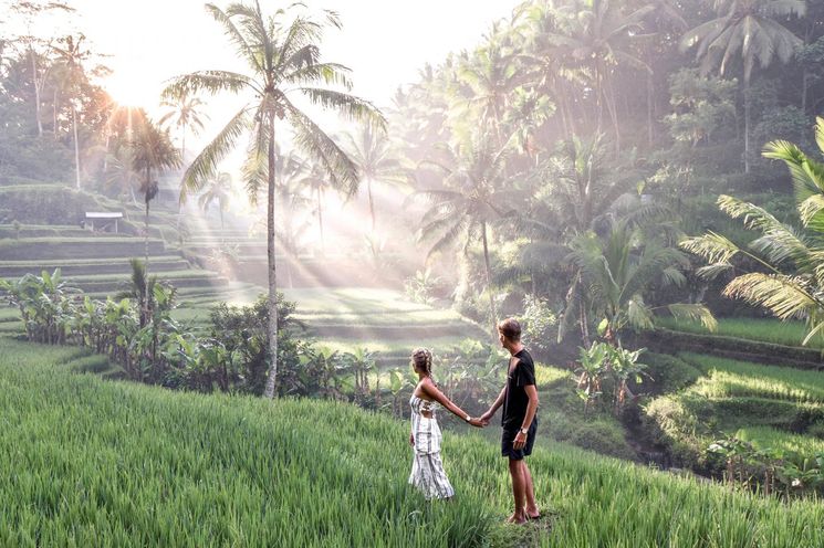 Magical Ubud Rice Terrace Tour          