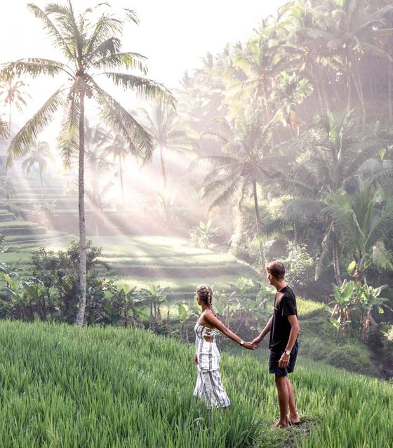 Magical Ubud Rice Terrace Tour          