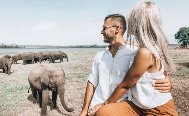 Majestic Mammals Of Sri Lanka: Whale & Elephant Safari Tour