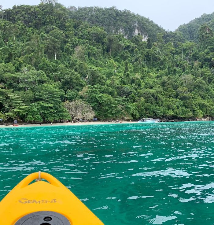 Monkey Beach