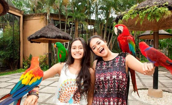 Bali Bird Park & Monkey Forest Tour   
