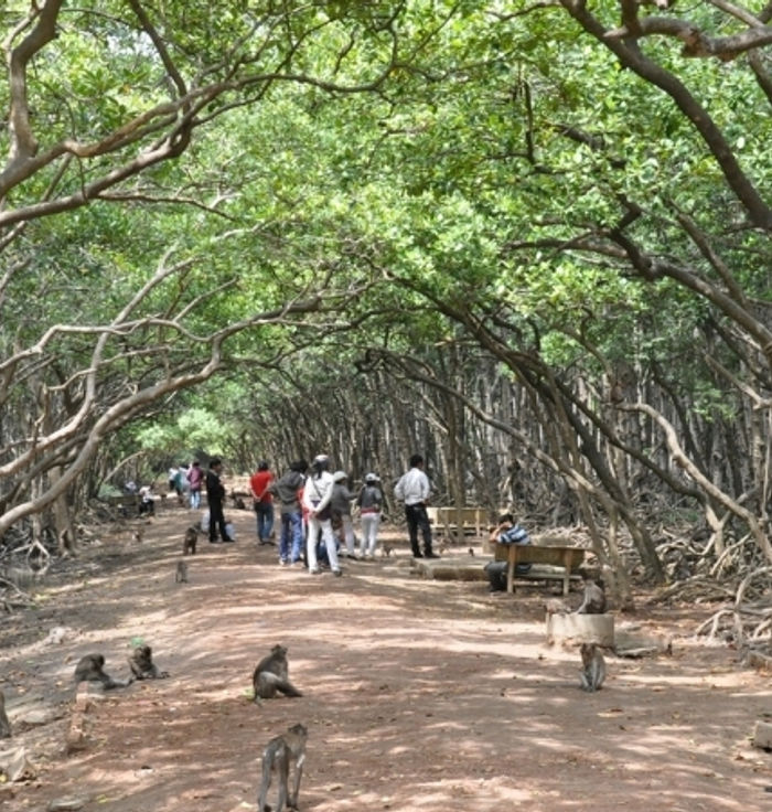 Monkey Island