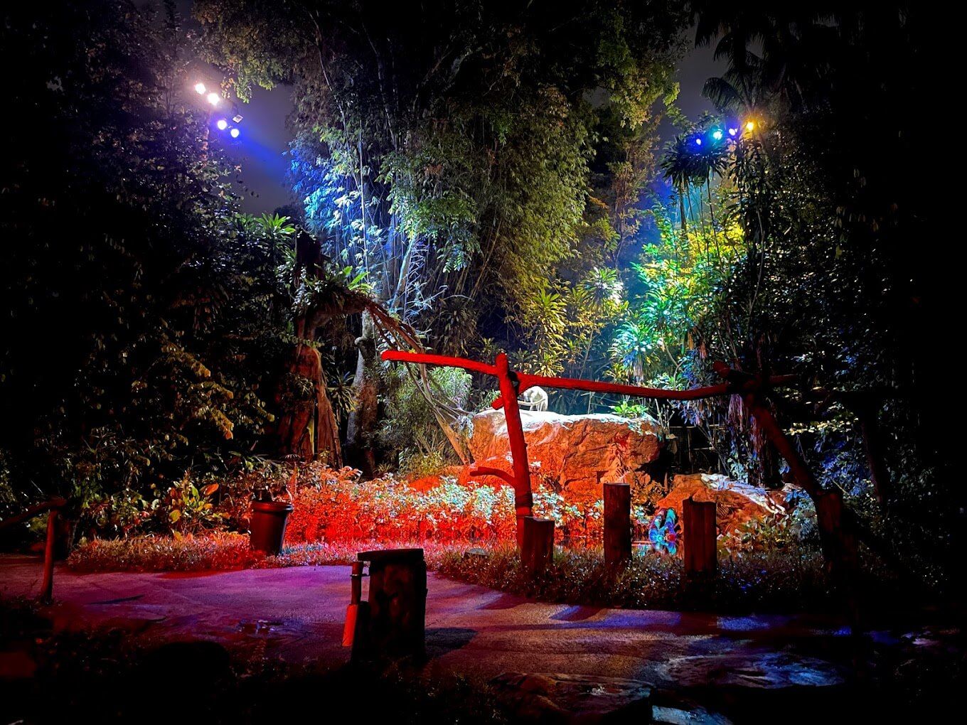 Night Safari