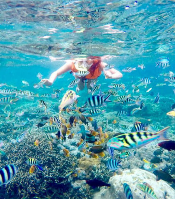 Snorkeling in Nusa Penida
