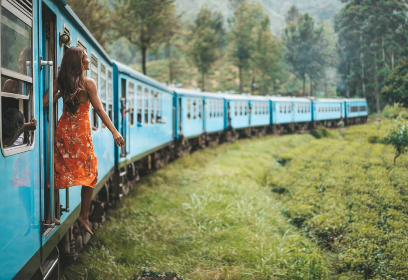 Nuwara Eliya Highlights: The Most Beautiful Spots