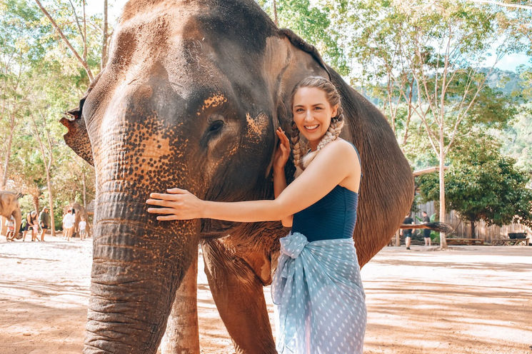 Phuket Ethical Elephant Sanctuary & Temple Tour (Half Day)       