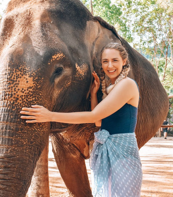 Phuket Ethical Elephant Sanctuary & Temple Tour (Half Day)       
