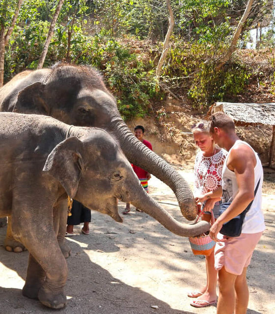 Phuket Elephant Sanctuary