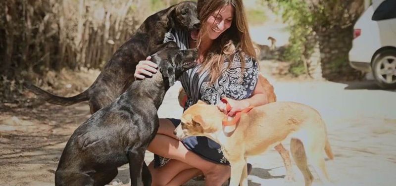 Phuket Family Experience: Soi Dog Foundation, Turtle Shelter & Water Park Excursion