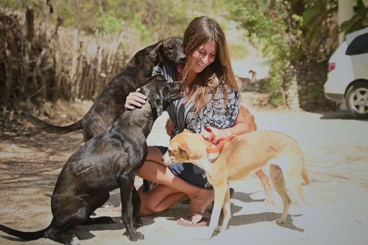 Phuket Family Experience: Soi Dog Foundation, Turtle Shelter & Water Park Excursion