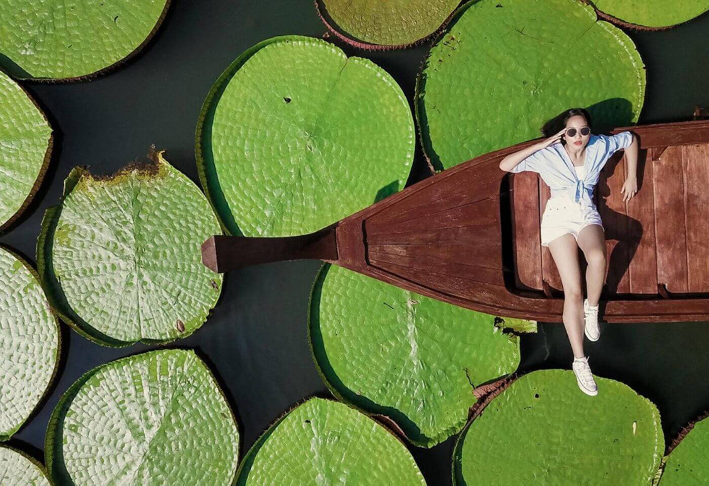 Phuket Giant Water Lilies and Temple Tour      