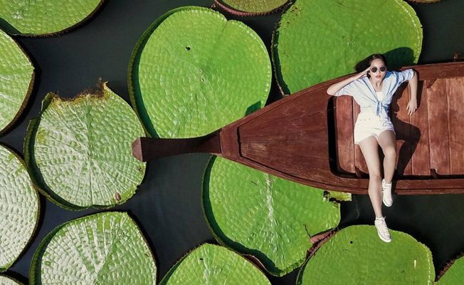 Phuket Giant Water Lilies and Temple Tour      
