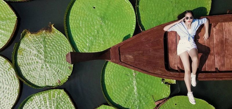 Phuket Giant Water Lilies and Temple Tour      