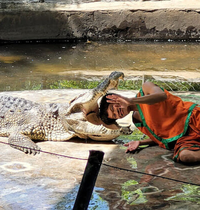 Samui Crocodile Farm