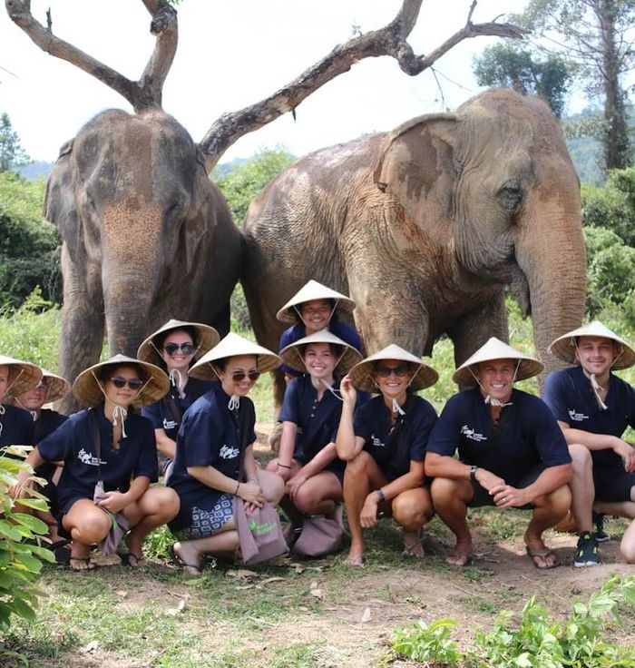 Samui Elephant Home