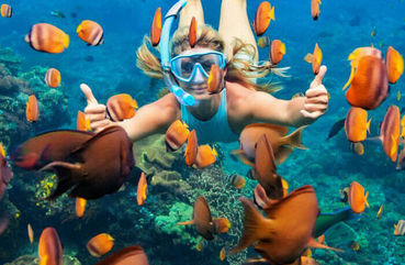 Snorkeling Day Tour, Nusa Penida