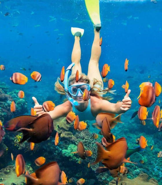 Snorkeling Day Tour, Nusa Penida