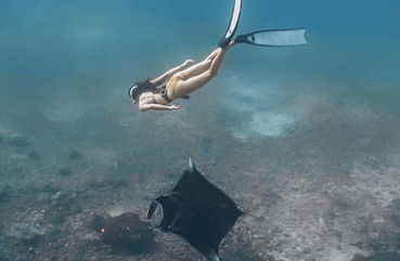 Snorkeling Tour Manta Rays, Nusa Penida