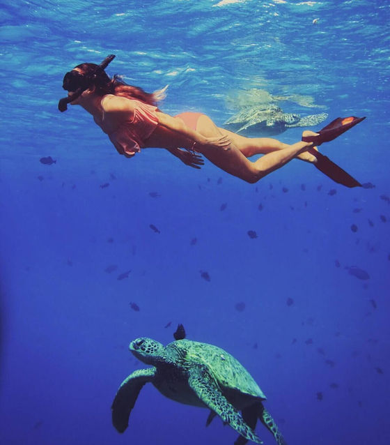 Snorkeling with turtles in Nusa Penida
