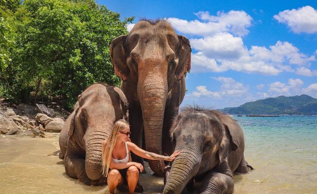 Phuket Magical Elephant Beach Walk & Night Market Visit  