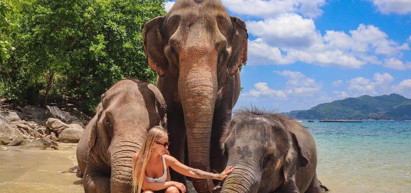 Phuket Magical Elephant Beach Walk & Night Market Visit  