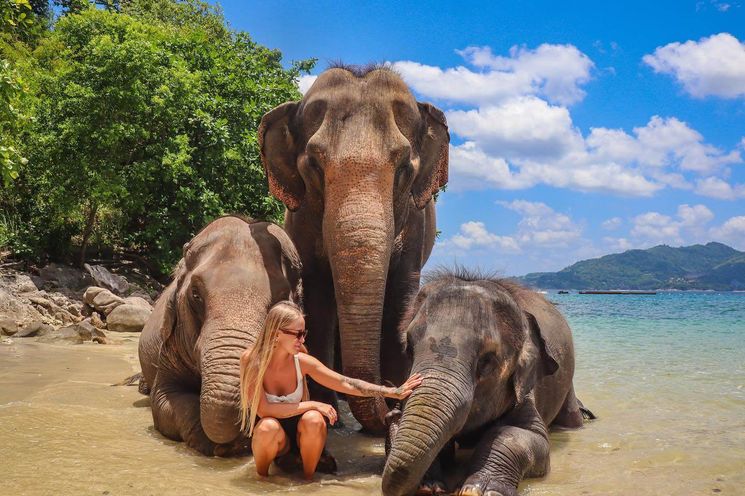 Phuket Magical Elephant Beach Walk & Night Market Visit  