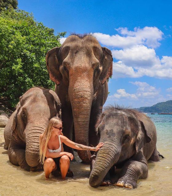 Phuket Magical Elephant Beach Walk & Night Market Visit  