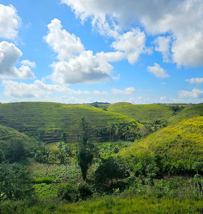 Teletubbies Hill