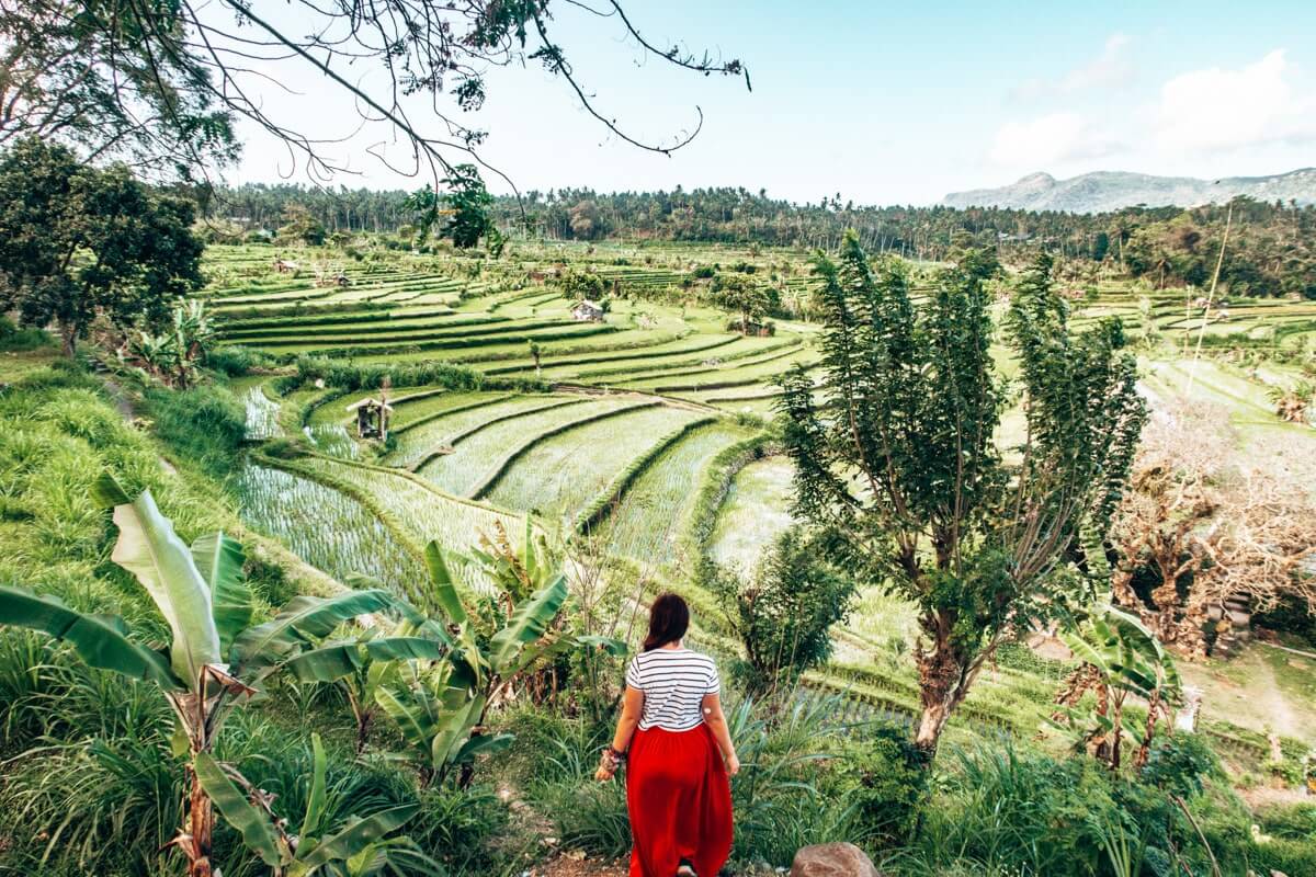 What is The Best Time To Visit Bali? - [2025 Best Time to Visit]