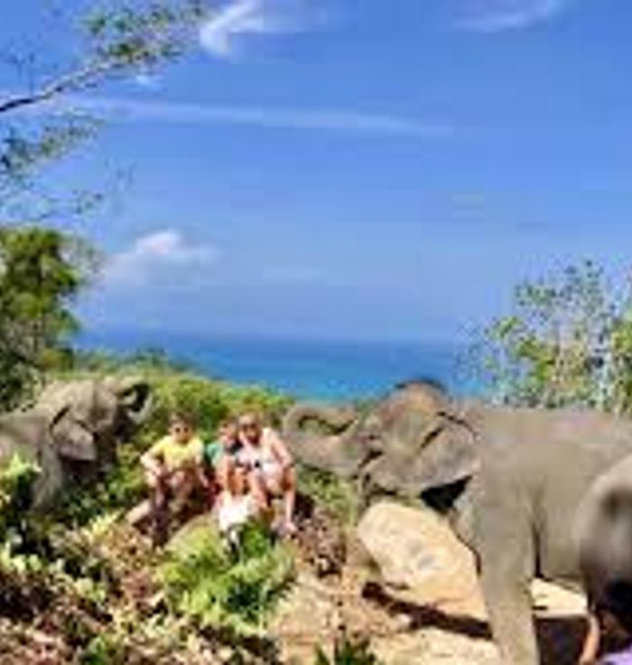 The Lake Phuket Elephant Home Ethical Sanctuary