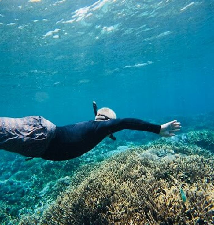 The Wall (snorkeling place)