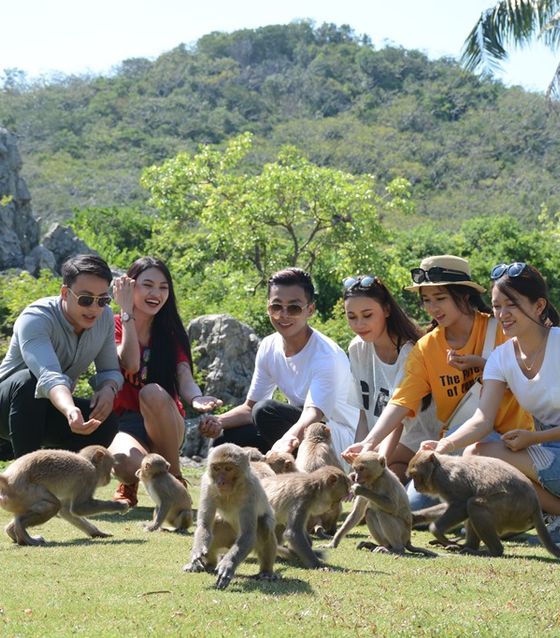 Can Gio Monkey Forest