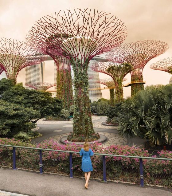 Must see places in Singapore