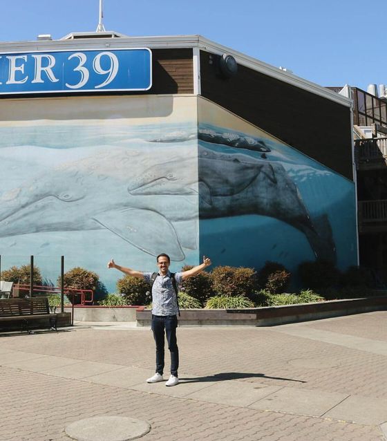 Pier 39, Best sights in San Francisco