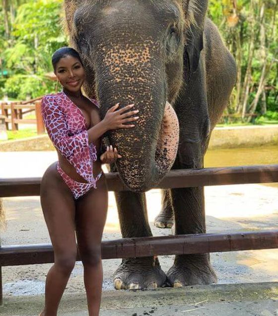 Phuket Elephant Sanctuary