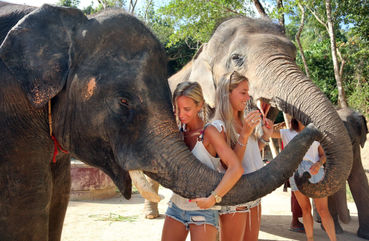 Phuket Elephant Sanctuary