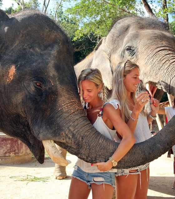 Phuket Elephant Sanctuary